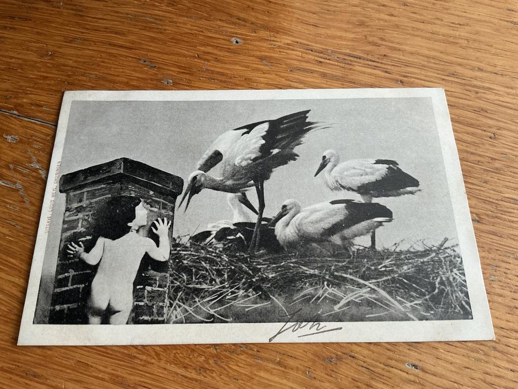 H82 Ooievaar, Ophalen of Verzenden, Sterren en Beroemdheden