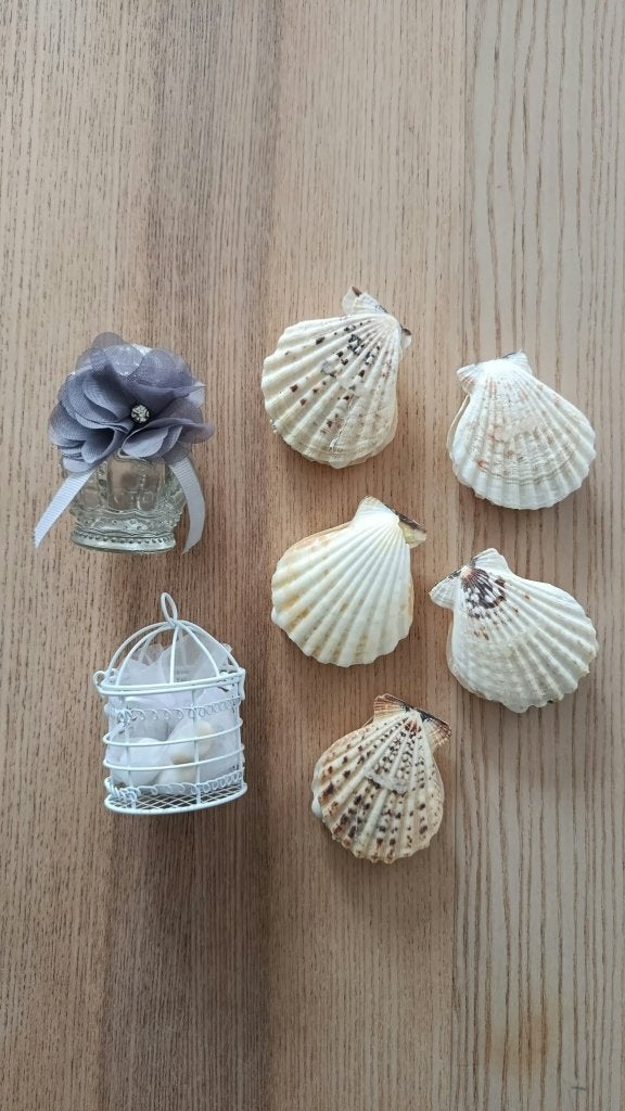 Decoratieve Schelpen en Miniatuur Vogelkooi, Ophalen of Verzenden, Zo goed als nieuw, Versiering, Geboorte of Huwelijk
