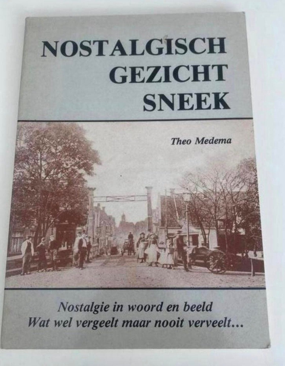 Nostalgisch Gezicht Sneek - Theo Medema (Boek), Ophalen of Verzenden, 20e eeuw of later, Gelezen