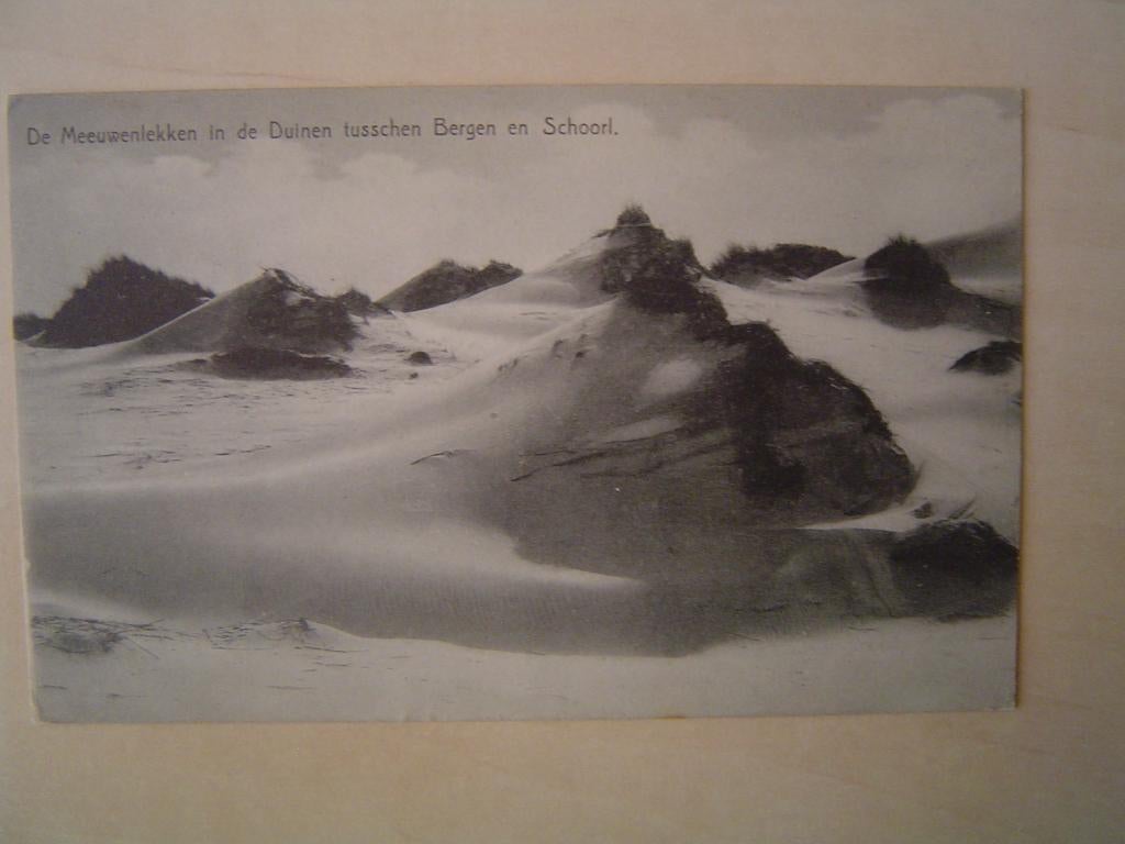 De Meeuwenlekken in de Duinen tusschen Bergen en Schoorl, Verzenden, 1920 tot 1940, Gelopen, Noord-Holland