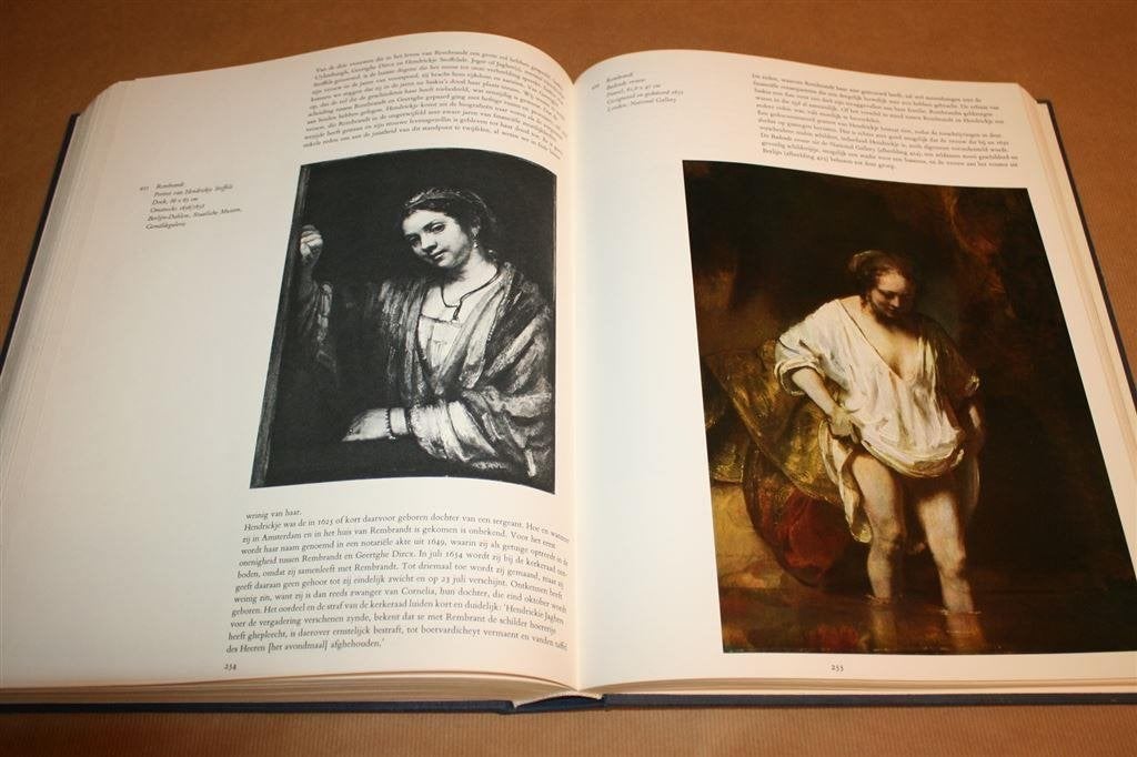 Dikke pil - Rembrandt, zijn leven, zijn werk, zijn tijd, Ophalen of Verzenden, Gelezen