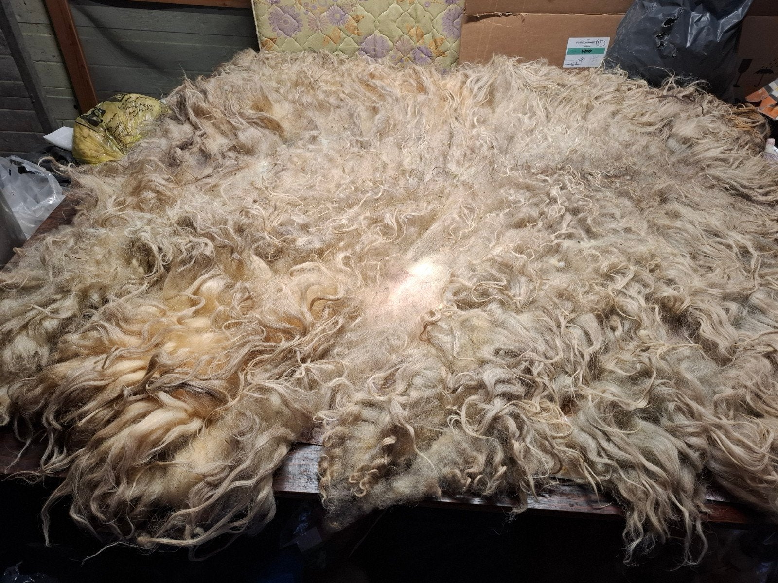 Grote ruwe vacht Heideschaap, beige/grijs, lange lokken, Ophalen of Verzenden, Nieuw, Spinwol
