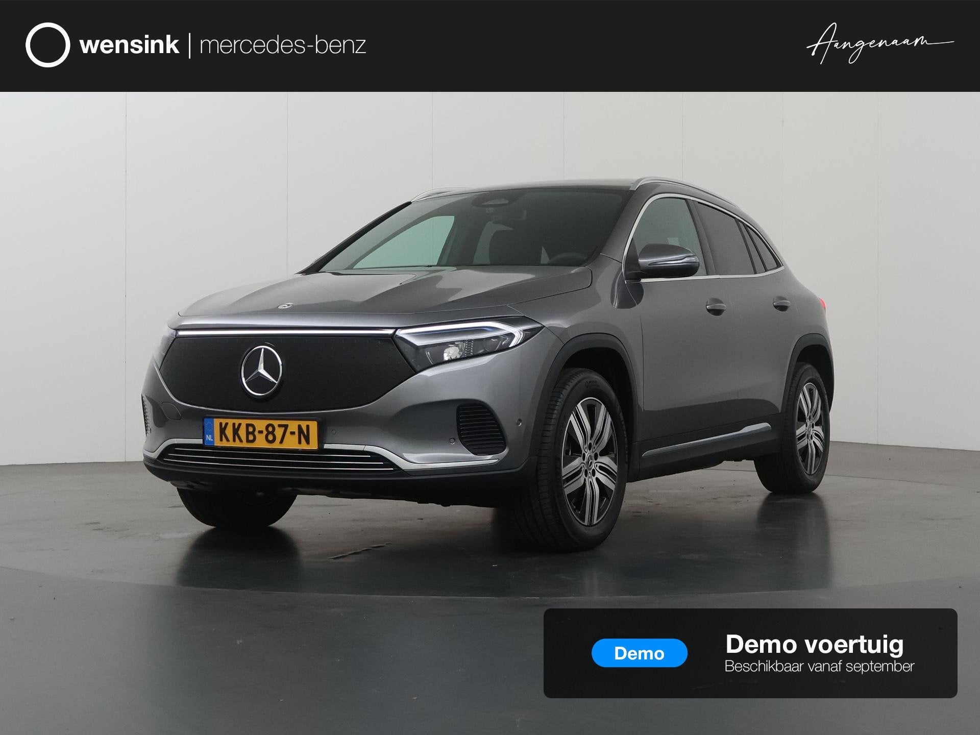 Mercedes-Benz EQA 250+ Business Solution Luxury 71 kWh | Pan