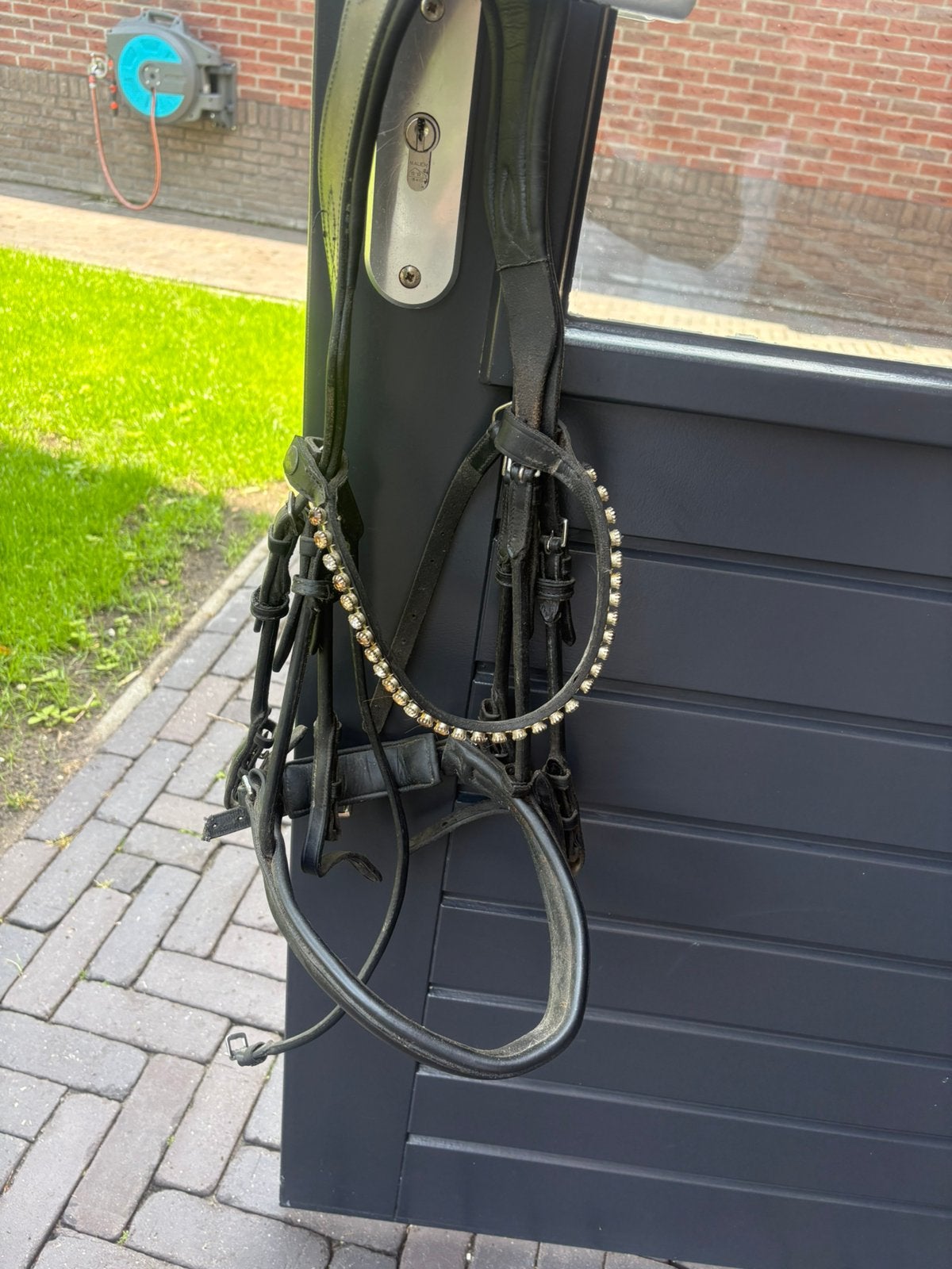 Stang en trens hoofdstel, Ophalen of Verzenden, Dressuur
