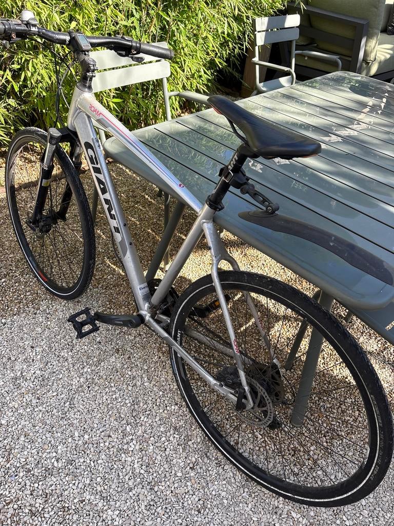 Giant Roam 2 Hybride Fiets - Perfect voor Stad en Avontuur, Ophalen of Verzenden