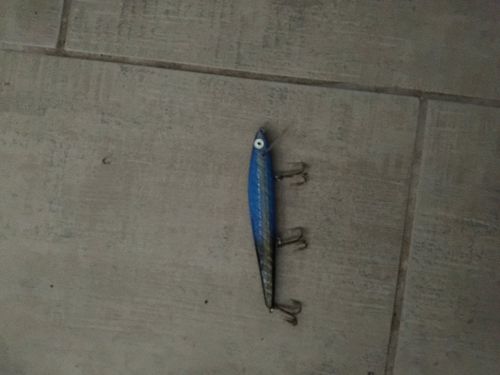Plug, Ophalen of Verzenden, Gebruikt, Kunstaas