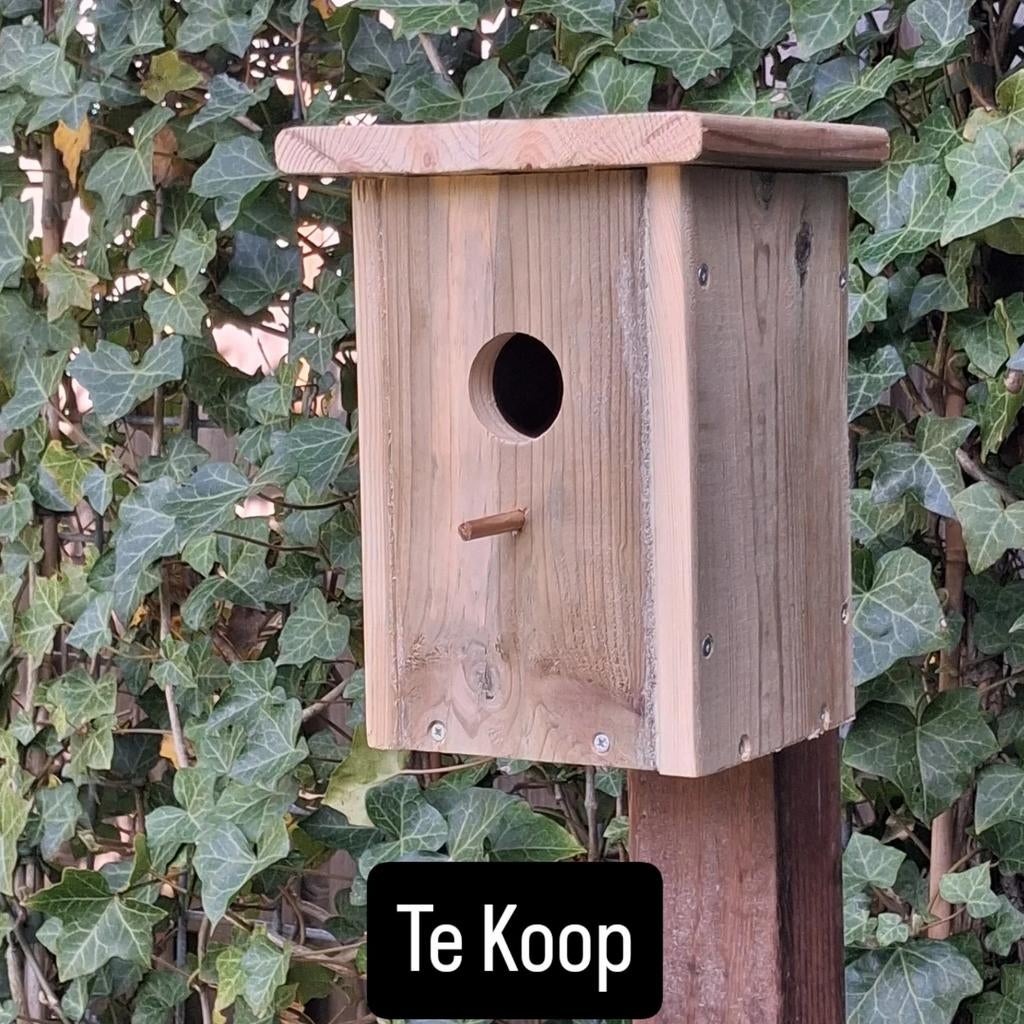 Volgelhuisje voor kolmeesje, Ophalen