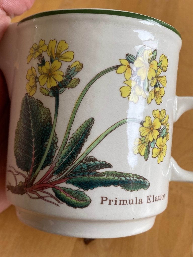 Vintage kannetje Florabunda Wedgwood illustratie Primula, Kan, Vintage, Ophalen of Verzenden, Zo goed als nieuw