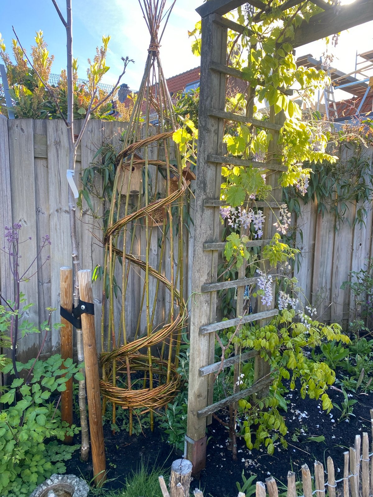 Nieuwe wilgentakken klimspiraal 2.30m voor klimplanten, Tuin en Terras, Ophalen, Nieuw
