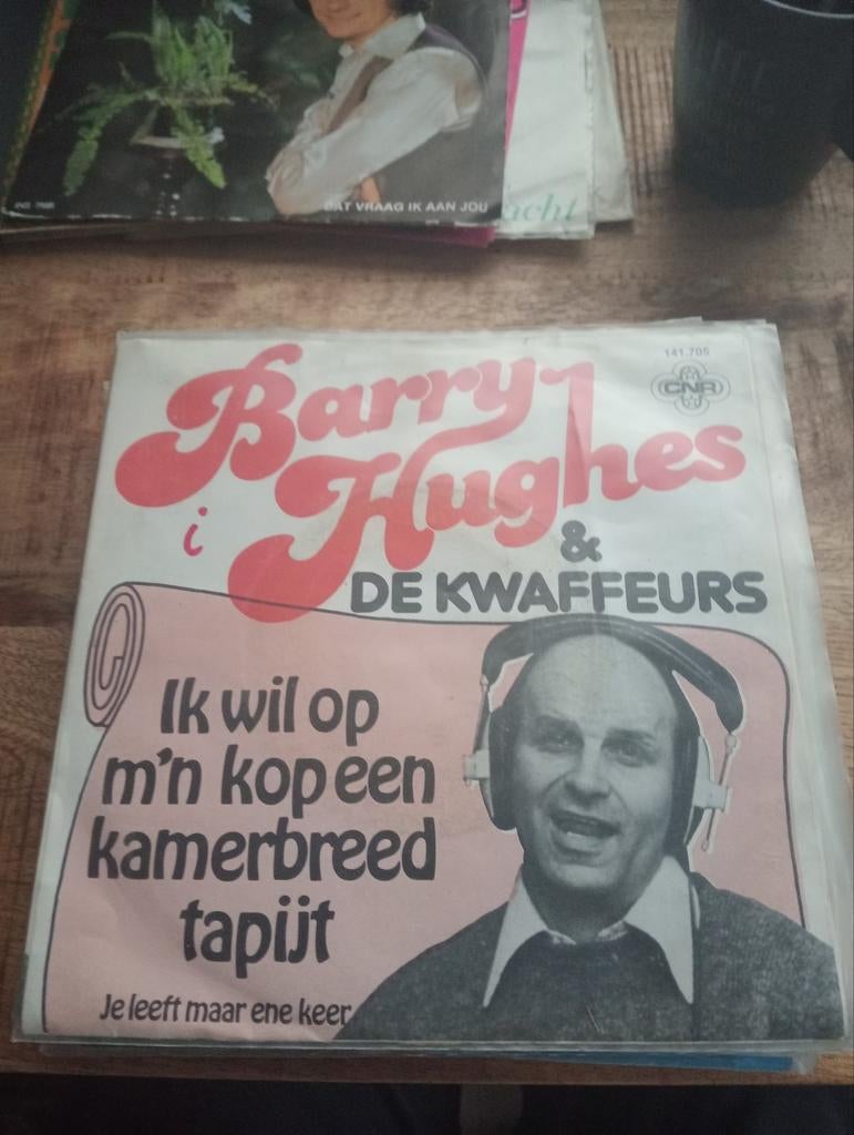 Barry Hughes - ik wil op mn kop een kamerbreed tapijt, Ophalen of Verzenden, Zo goed als nieuw, Overige formaten, Levenslied of Smartlap
