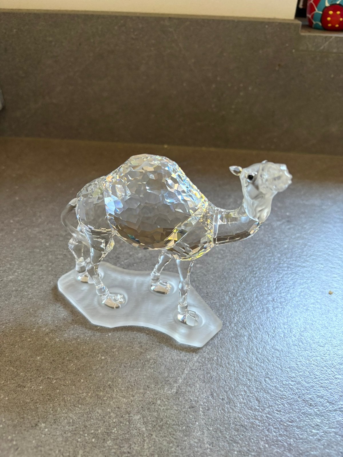 Swarovski Dromedaris – African Wildlife – met originele doos, Ophalen of Verzenden, Zo goed als nieuw, Figuurtje