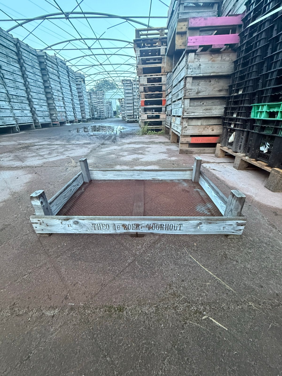 Houten kisten (>1000 stuks) - bloembollen gaasbakken, Ophalen of Verzenden, Gebruikt, 50 tot 100 cm, Minder dan 50 cm