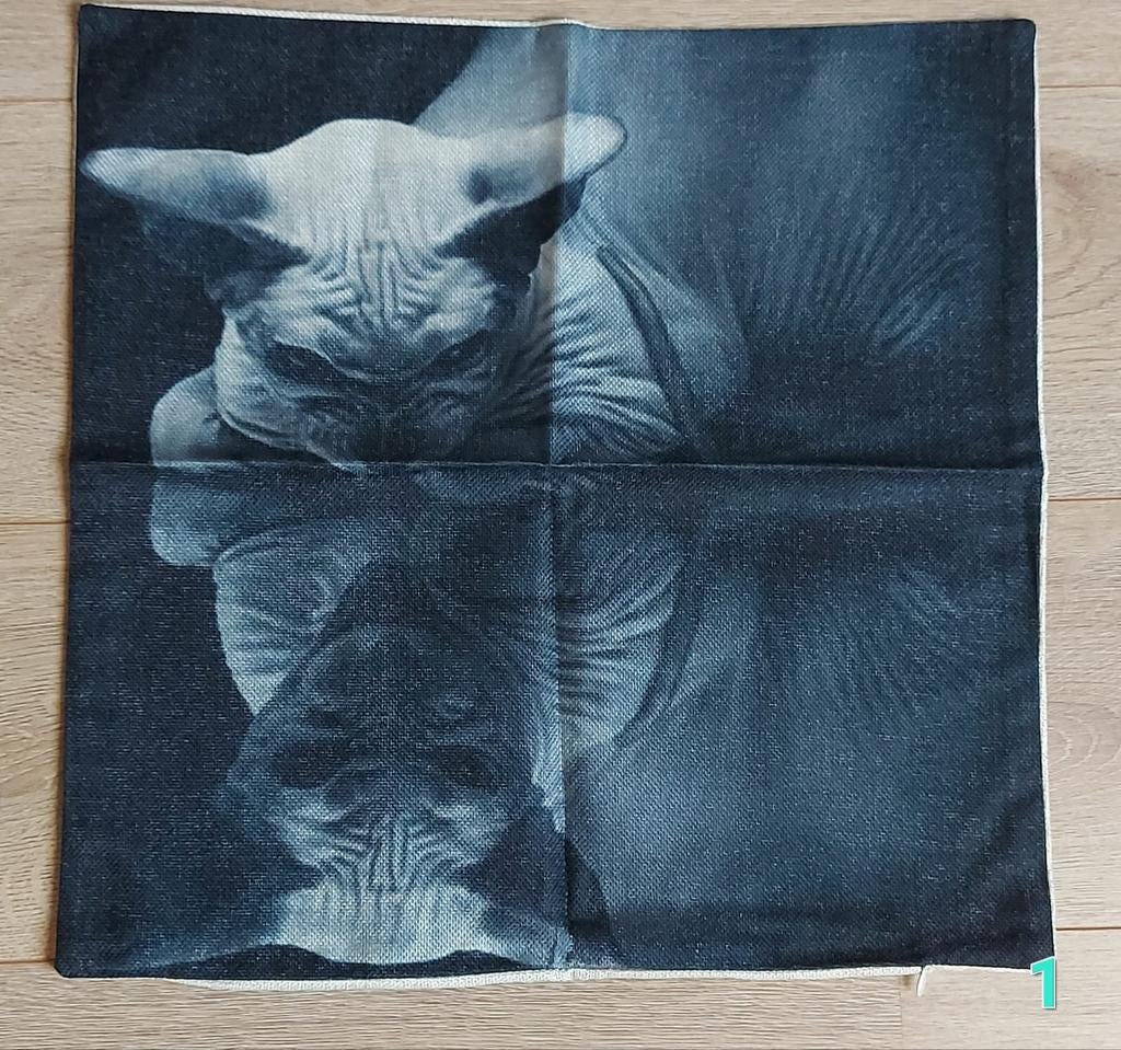 Sphynx, sphynx kat, sphynx kussenhoes, kat kussenhoes,, Ophalen of Verzenden, Nieuw, Vierkant