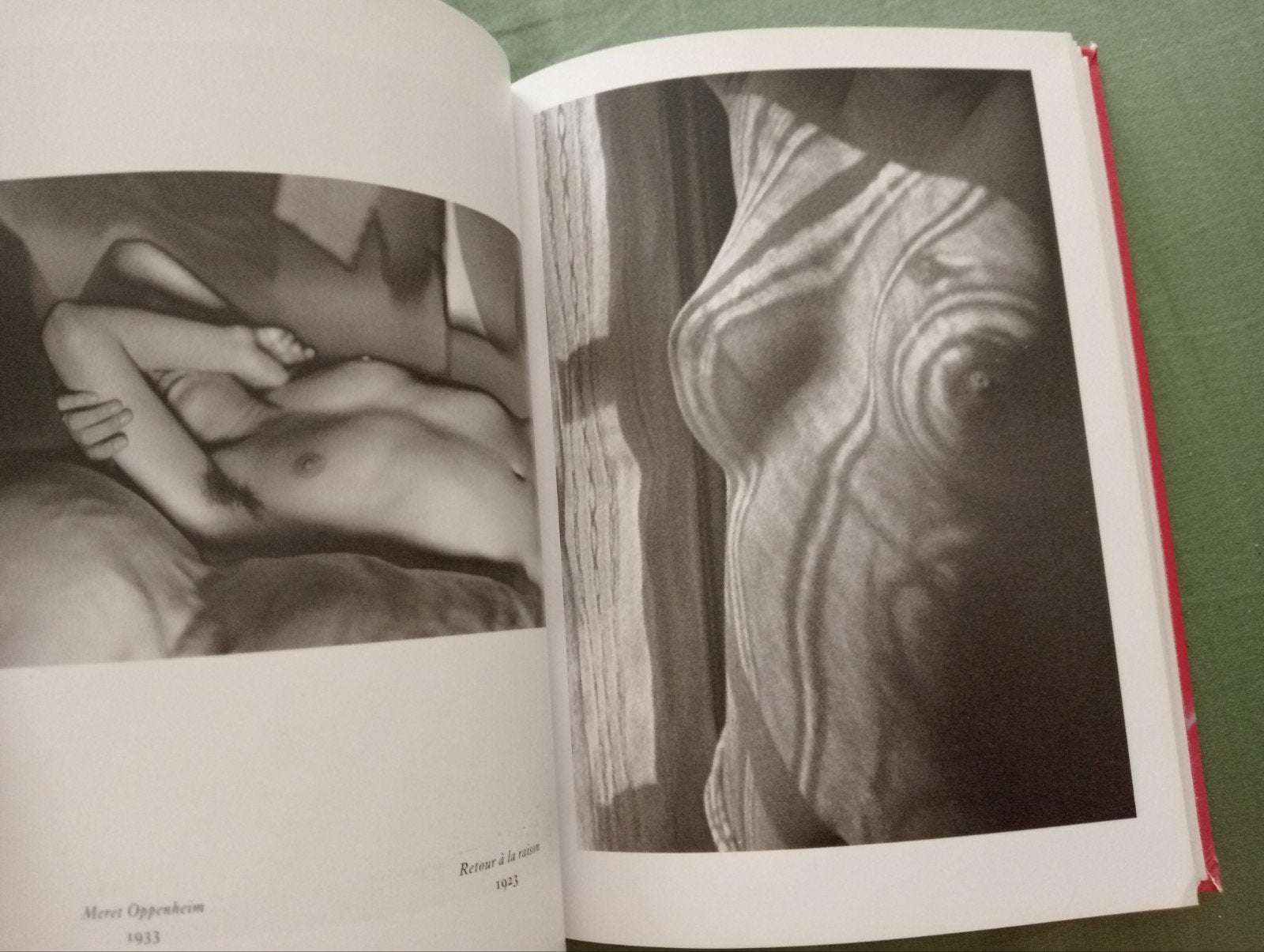 Man Ray Icons: Naakt Erotiek Foto Kunst Abstract Boek, Boeken, Kunst en Cultuur | Fotografie en Design, Ophalen of Verzenden, Gelezen