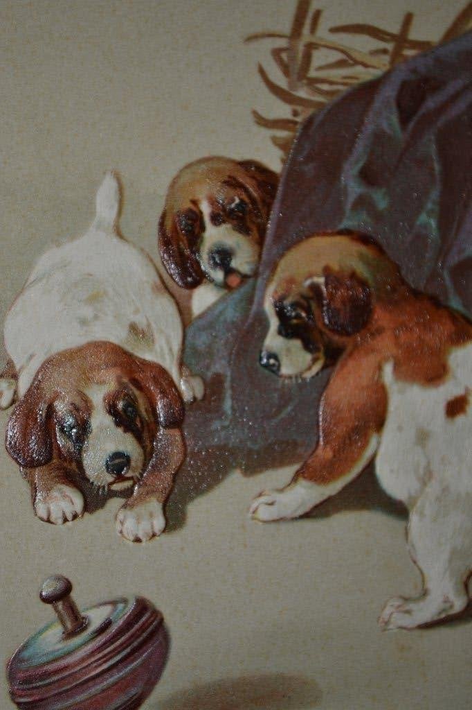 BELGIE RELIEF 1905 DRIE HONDJES  PUPPIES MET DRAAI TOL, Ophalen of Verzenden, Voor 1920, Gelopen, Sterren en Beroemdheden