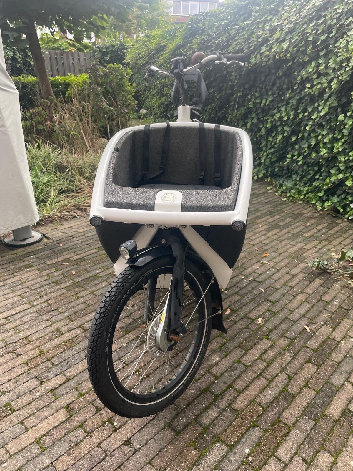 Elektrische Bakfiets met Kinderzitje en Gordels, Gebruikt, Elektrisch, 2 kinderen, Schijfrem