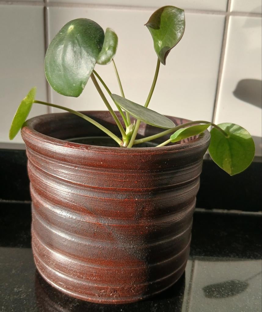 Vintage keramieken bloempot potterij Nijkamp TWELLO, Ophalen, Rond, Aardewerk, Minder dan 40 cm