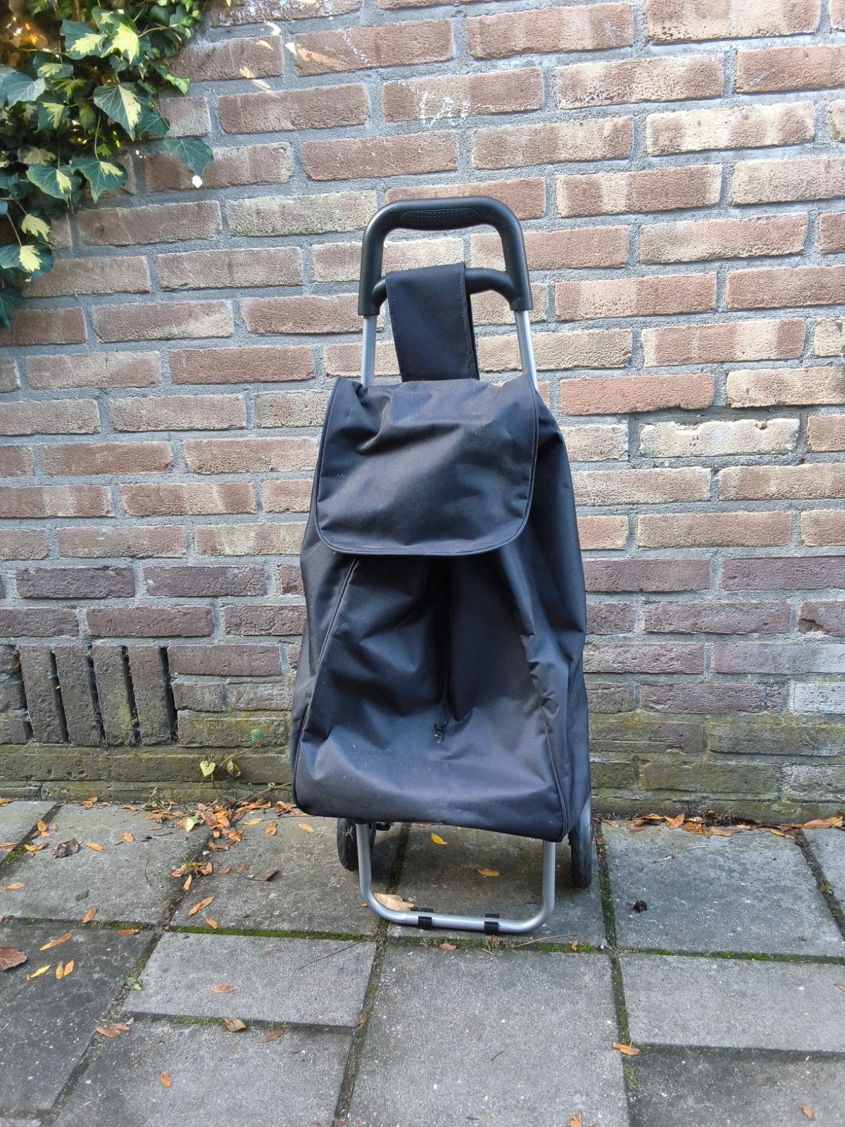 boodschappen trolley zwart, Ophalen of Verzenden, Gebruikt, Zwart, 30 cm of meer