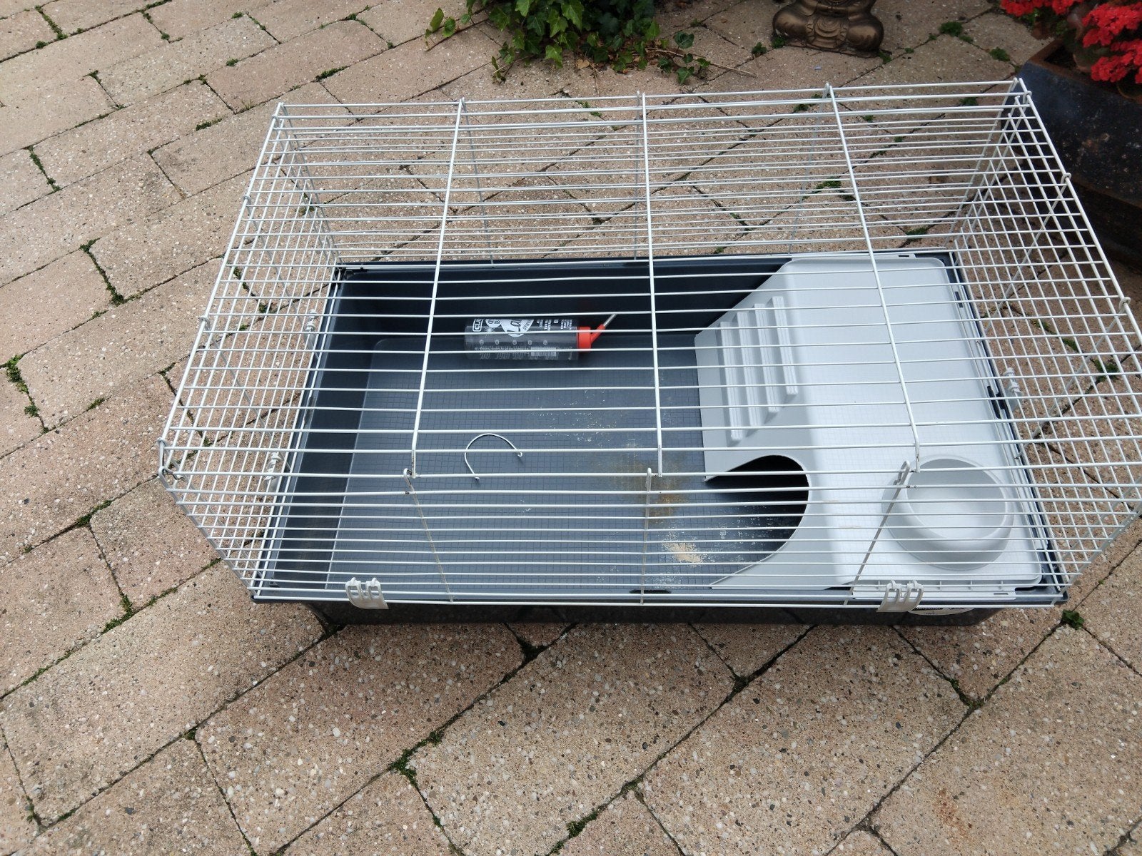 Te koop, Ophalen, Zo goed als nieuw, Kooi, Minder dan 60 cm