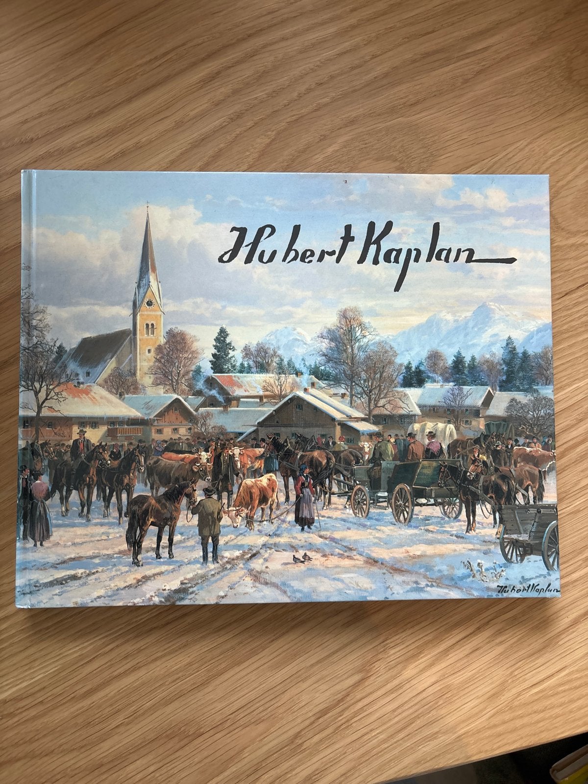 Hubert Kaplan Ansichten - Kunstboek, Verzenden, Zo goed als nieuw, Schilder- en Tekenkunst