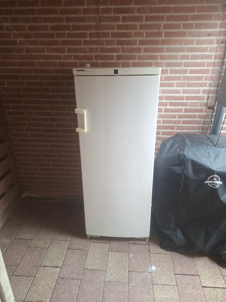 Mooie Liebherr premium vrieskast 7 lades, Gebruikt, 160 cm of meer, Ophalen, Vrieskast