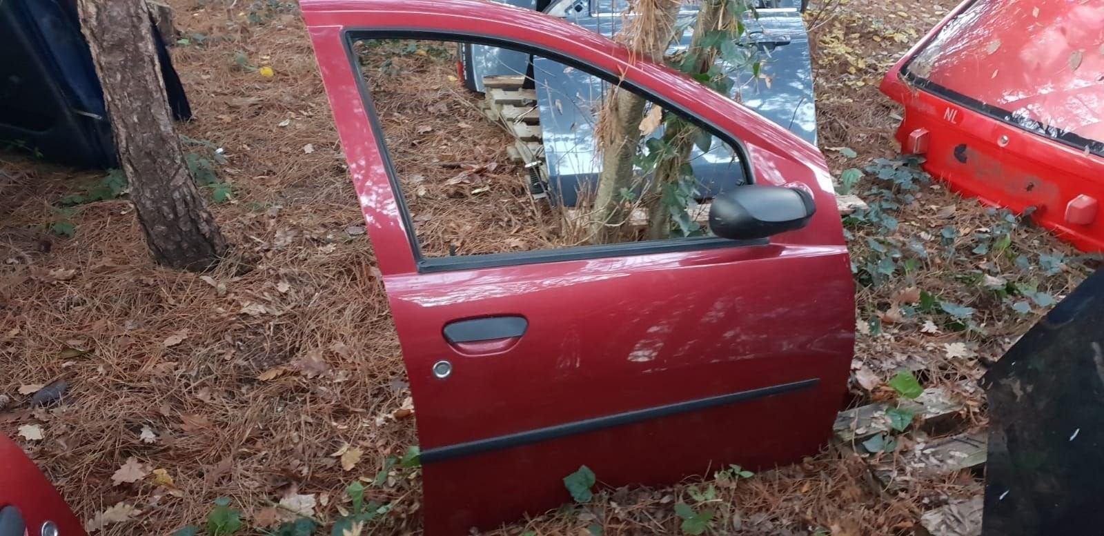 FIAT PUNTO PORTIER RV  BJ 99 TOT 2002, Gebruikt, -, Deur, -
