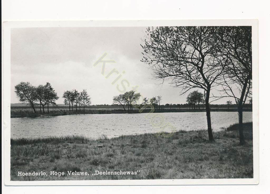 Hoenderloo - Hoge Veluwe - Deelenschewas [003-6548, Verzenden, 1940 tot 1960, Gelopen, Gelderland