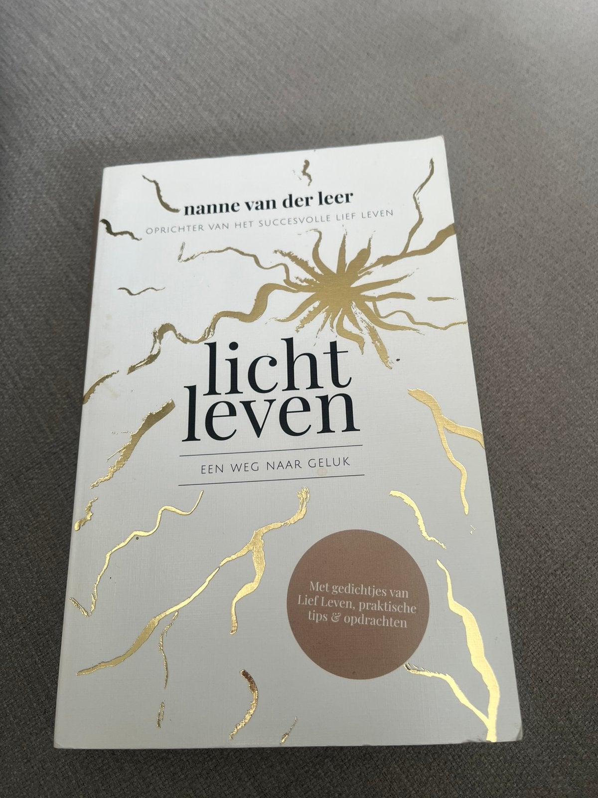 Nanne van der Leer - Licht Leven, Ophalen of Verzenden, Zo goed als nieuw, Nanne van der Leer