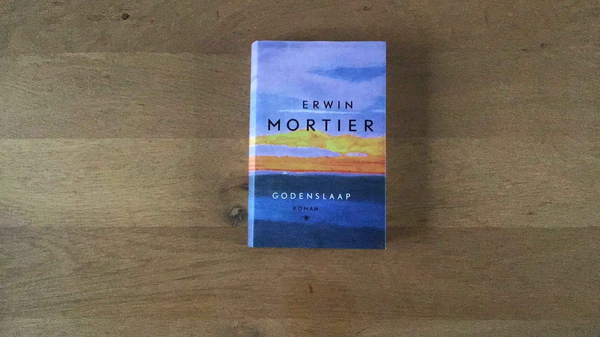 Erwin Mortier - Godenslaap, Ophalen of Verzenden, Zo goed als nieuw, Erwin Mortier