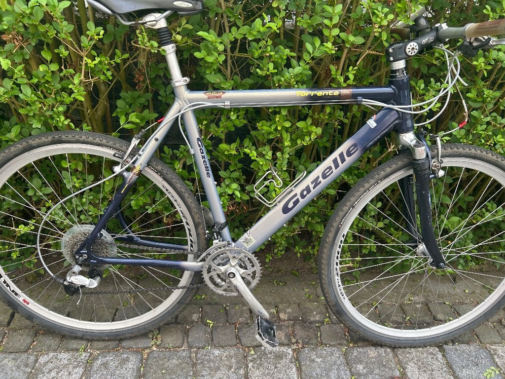 Gazelle Torrente, Ophalen, Gebruikt, Meer dan 20 versnellingen, Gazelle