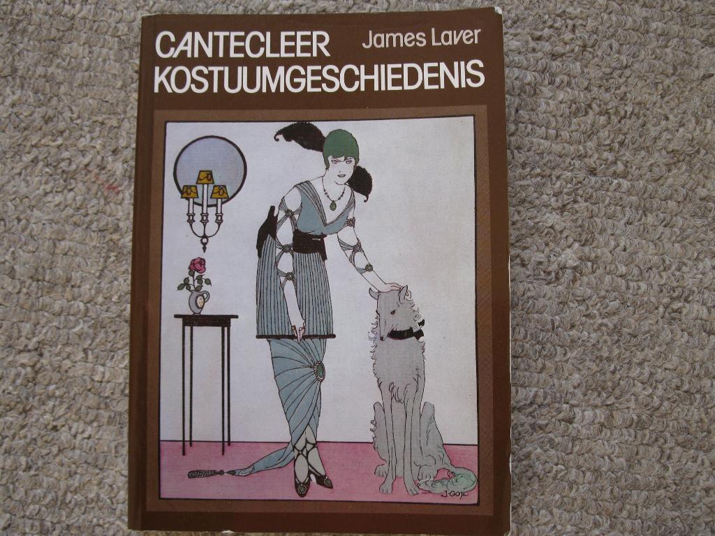Boeken kostuumgeschiedenis, borduren, textielkunst, Ophalen of Verzenden, Gelezen