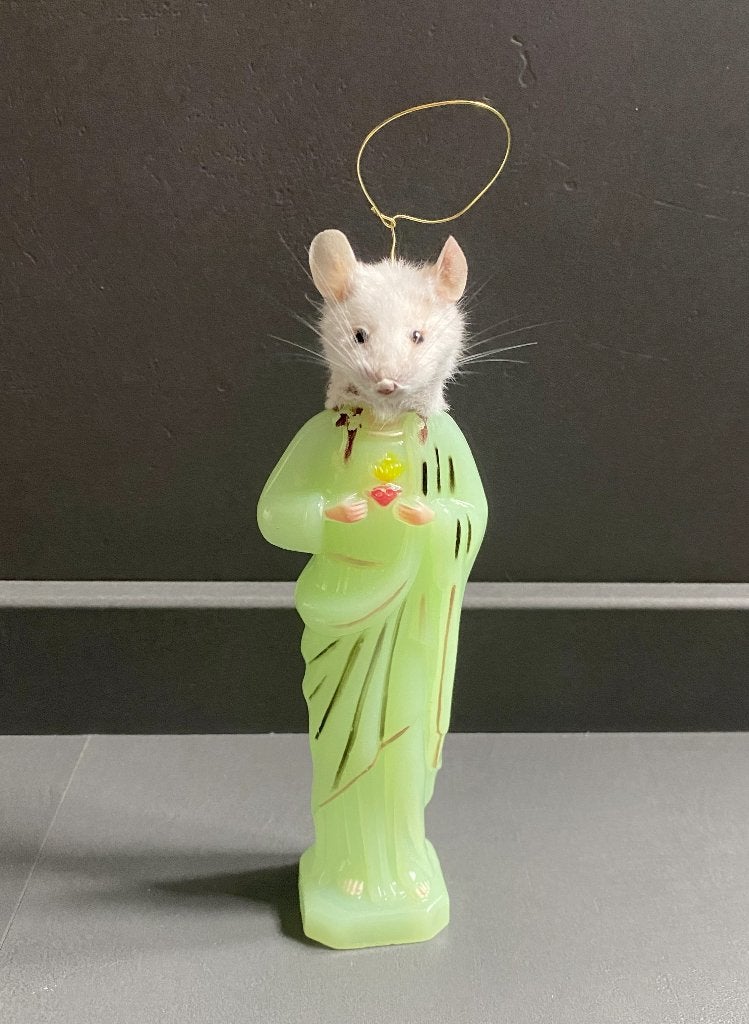 Taxidermie Cheesus muis Jezus, Ophalen of Verzenden, Vogel, Opgezet dier