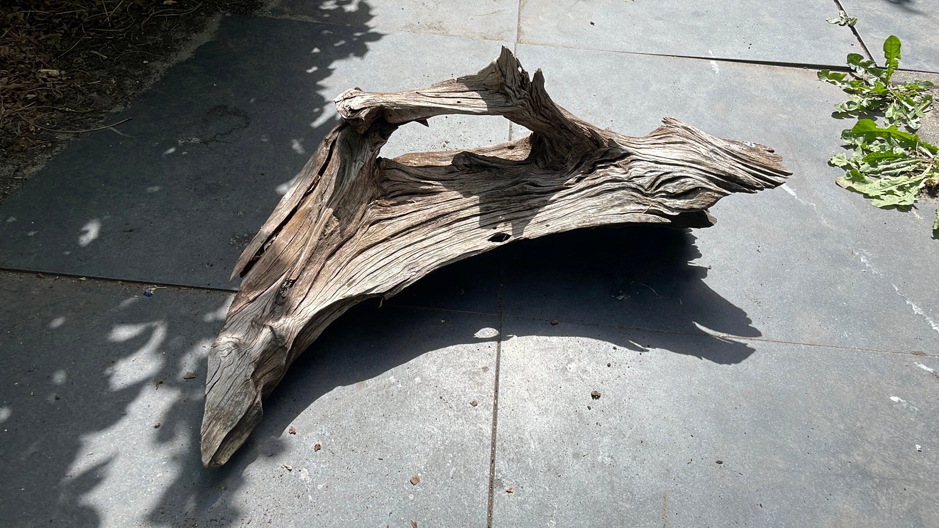 Mooi stuk aquarium hout, Ophalen, Zo goed als nieuw, Plant(en), Steen of Hout