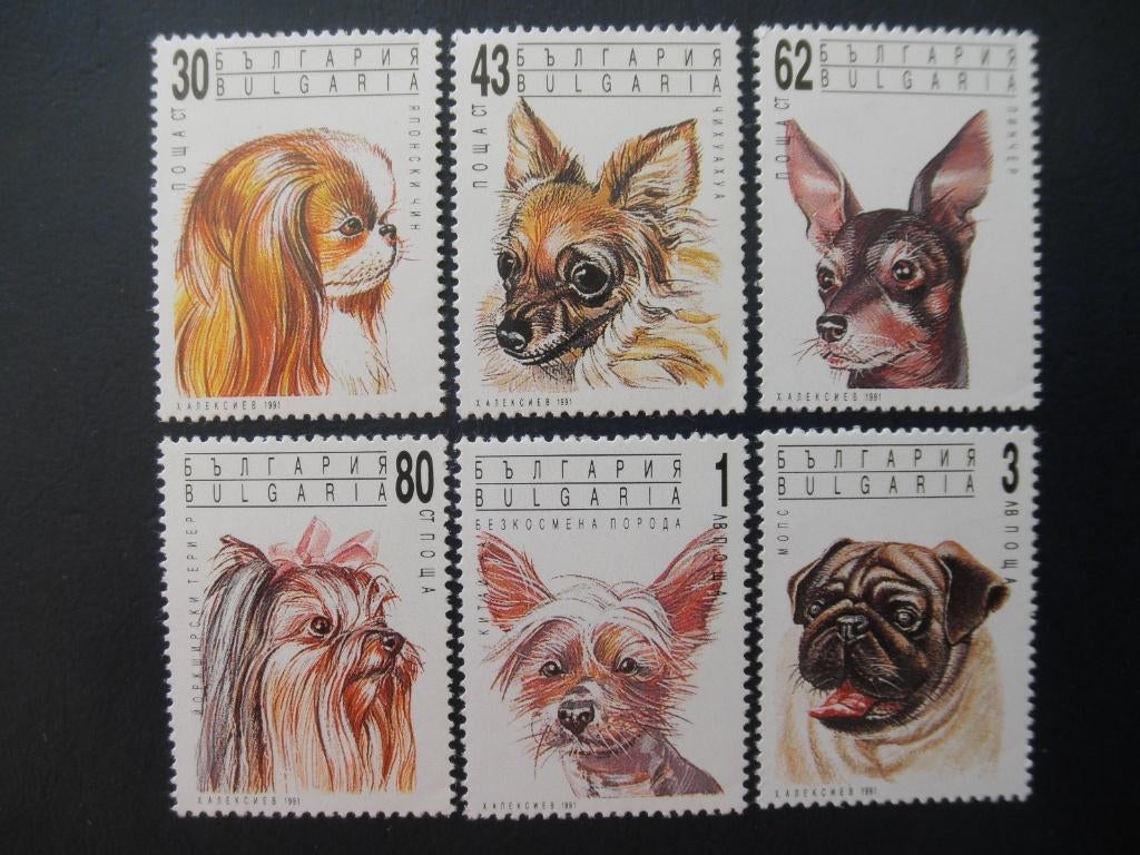 Postzegels honden Bulgarije 1991 - cw. € 4,00 postfris., Ophalen of Verzenden, Postfris, Dier of Natuur
