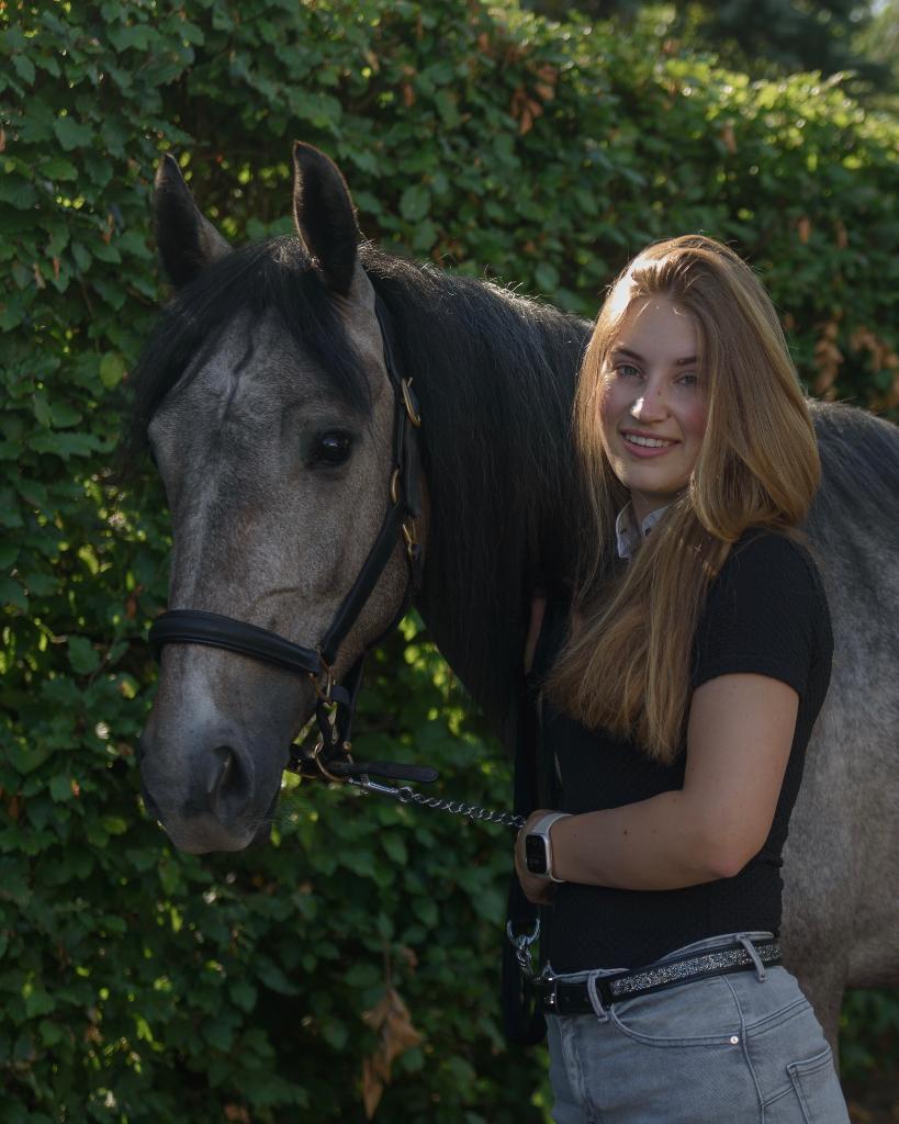 Gediplomeerd instructeur aangeboden, Dieren en Toebehoren, Paarden en Pony's | Overige Paardenspullen, Ophalen of Verzenden, Nieuw
