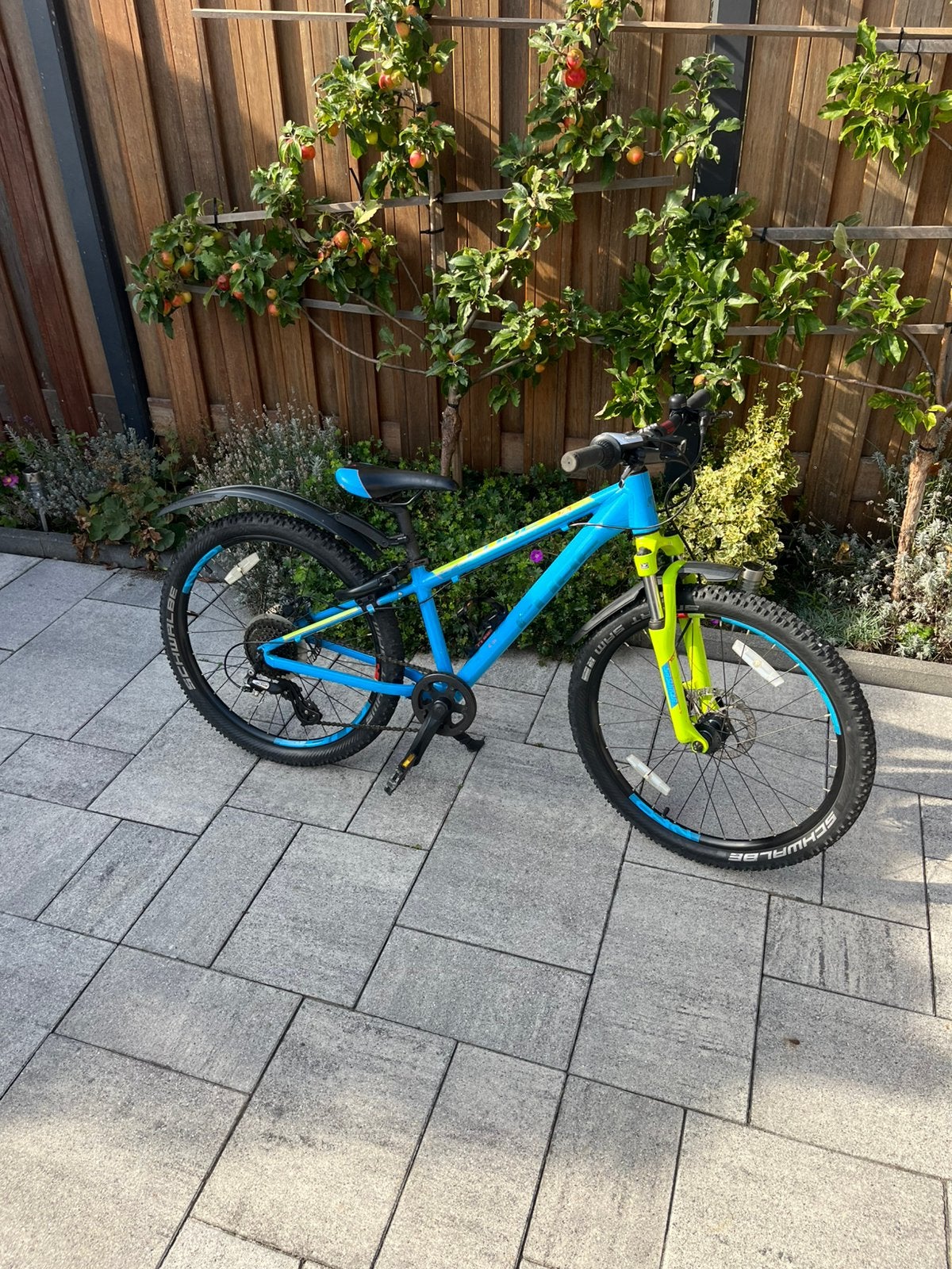 Te koop Cube Acus mountainbike met schijfremmen 24 inch, Ophalen, Zo goed als nieuw, Aluminium, 24 inch of meer