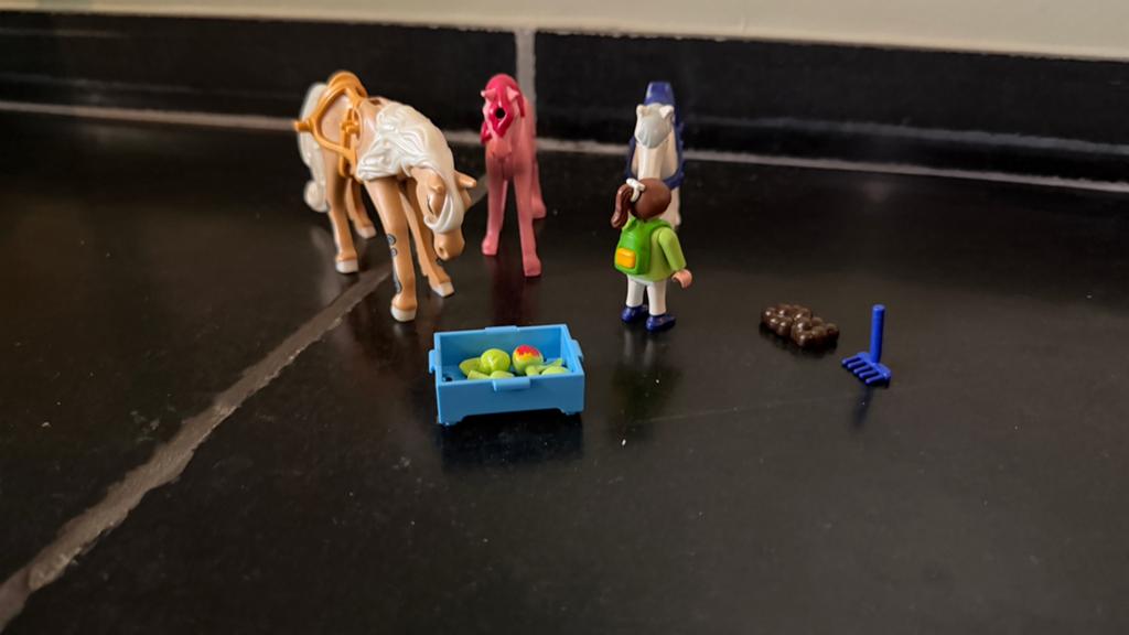 Playmobil paardensetje, Ophalen of Verzenden, Gebruikt