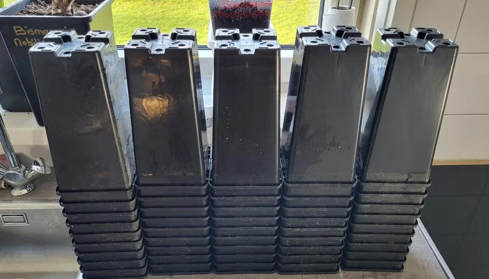 51 stuks Palmpotjes te koop!, Ophalen, Kunststof, Gebruikt, Rechthoekig