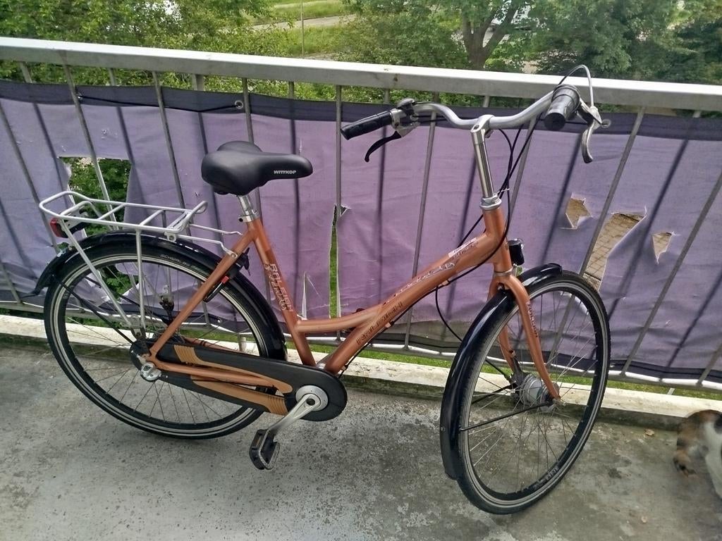 Raleigh damesfiets met lage instap en bagagedrager, Fietsen en Brommers, Fietsen | Dames | Damesfietsen, Velgrem, 50 tot 53 cm