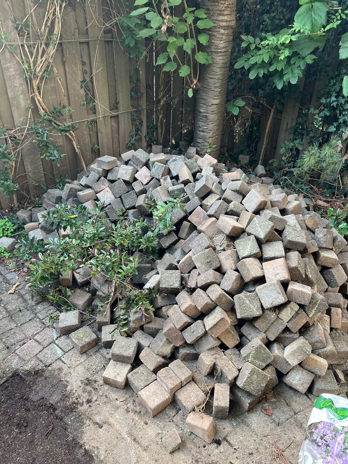 Gratis af te halen: gebruikte klinkers, Tuin en Terras, Ophalen, Gebruikt, Klinkers, 10 m² of meer