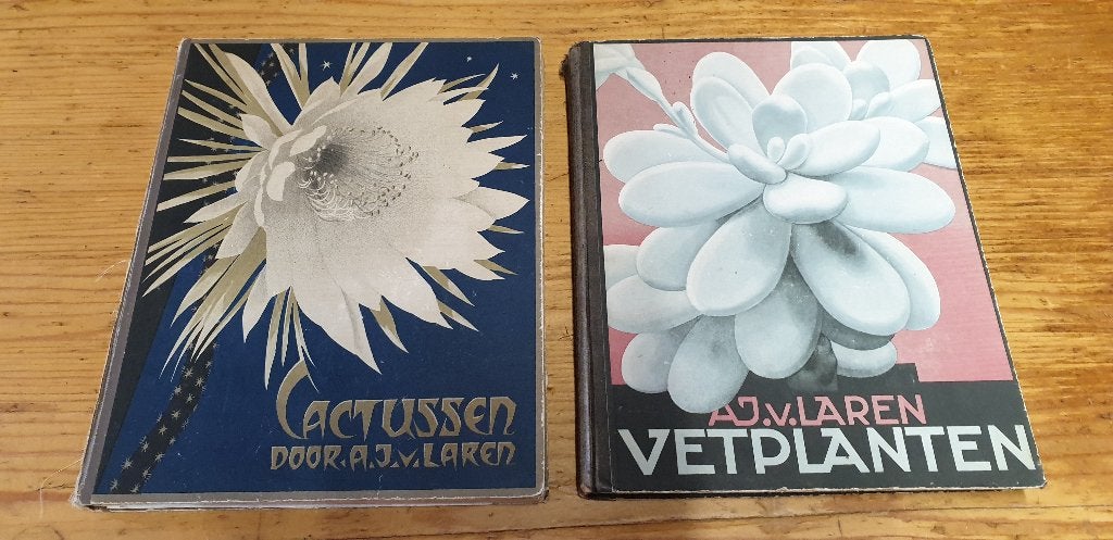 Vintage Verkade Albums: Cactussen en Vetplanten (1931/1932), Ophalen of Verzenden, Gelezen, A.J. van Laren, Plaatjesalbum