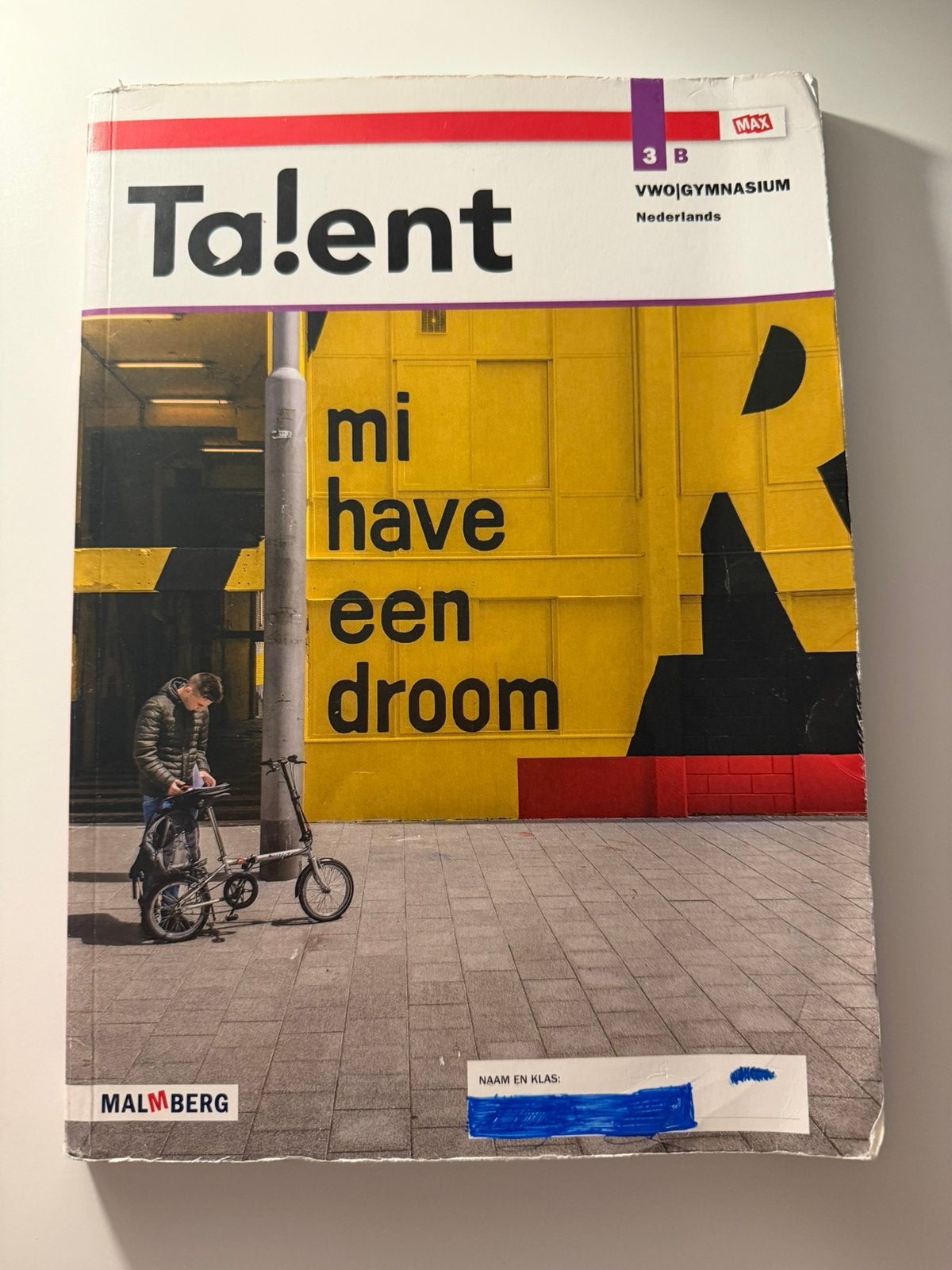NEDERLANDS BOEK B VWO 3, Boeken, Schoolboeken, Ophalen, Zo goed als nieuw, VWO, Nederlands