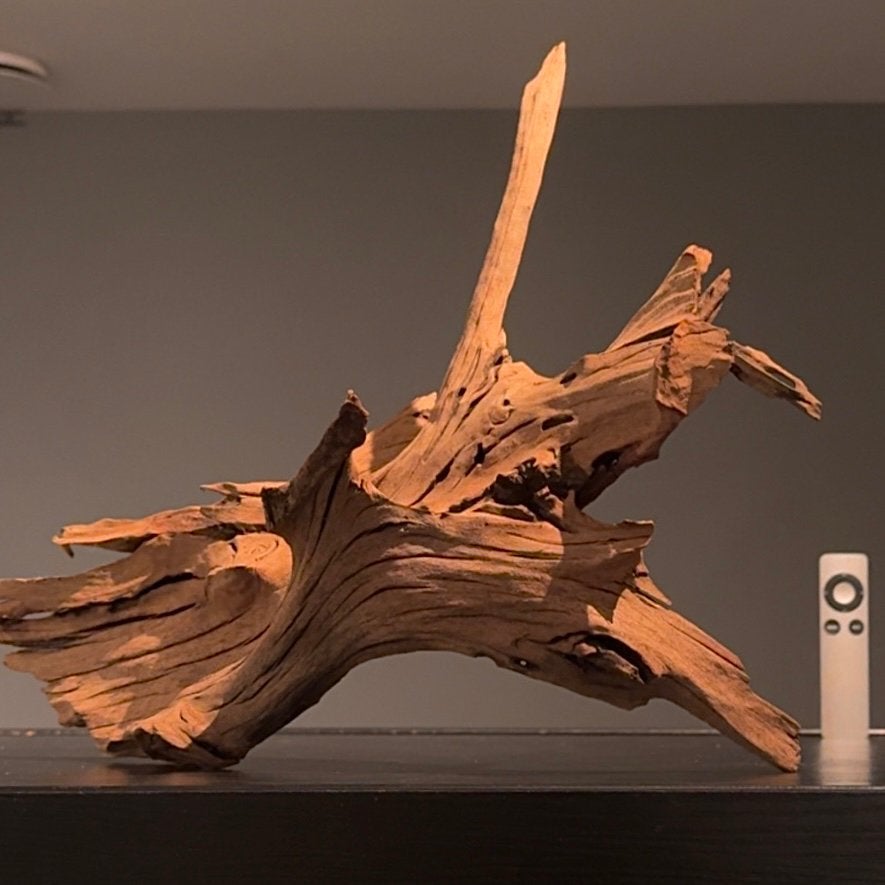 Uniek stuk Kienhout / Spiderwood / Driftwood, Hout Decoratie, Ophalen of Verzenden, Zo goed als nieuw, Leeg aquarium