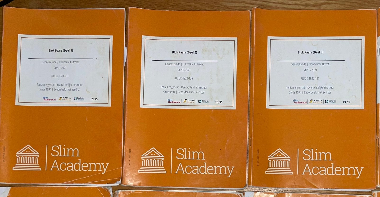 Slim Academy Blok Paars (Deel 1, 2, 3) Geneeskunde UU, Ophalen of Verzenden, Beta, WO
