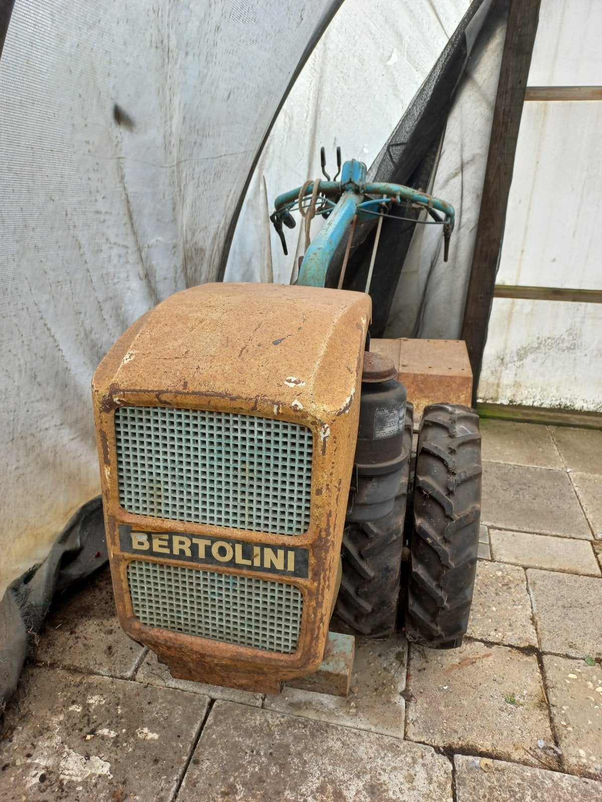Bertolini Tweeasser met frees - Robuuste Tuinmachine, Ophalen