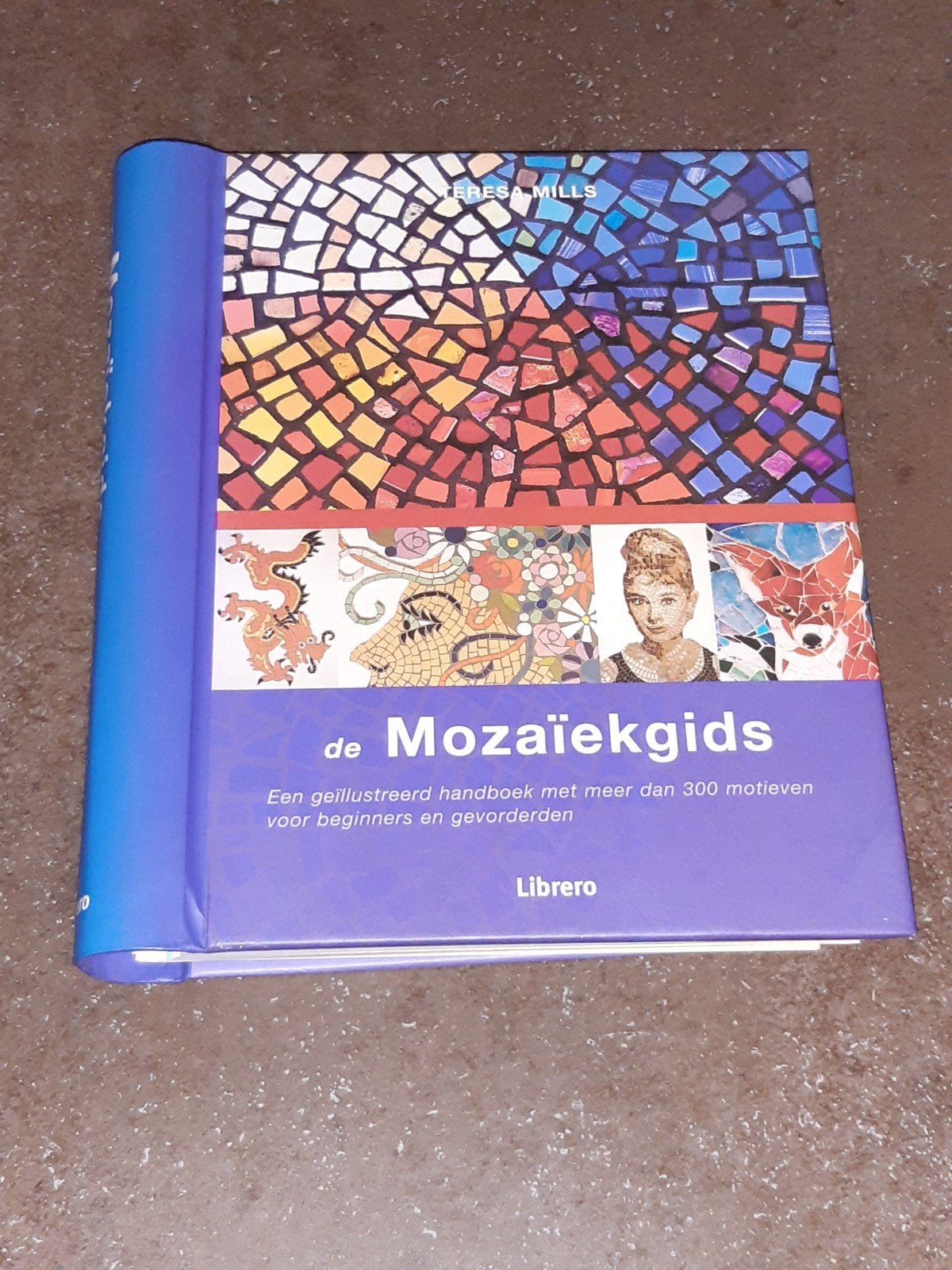 de mozaiekgids uitmuntende staat, Ophalen of Verzenden, Zo goed als nieuw, Tekenen en Schilderen