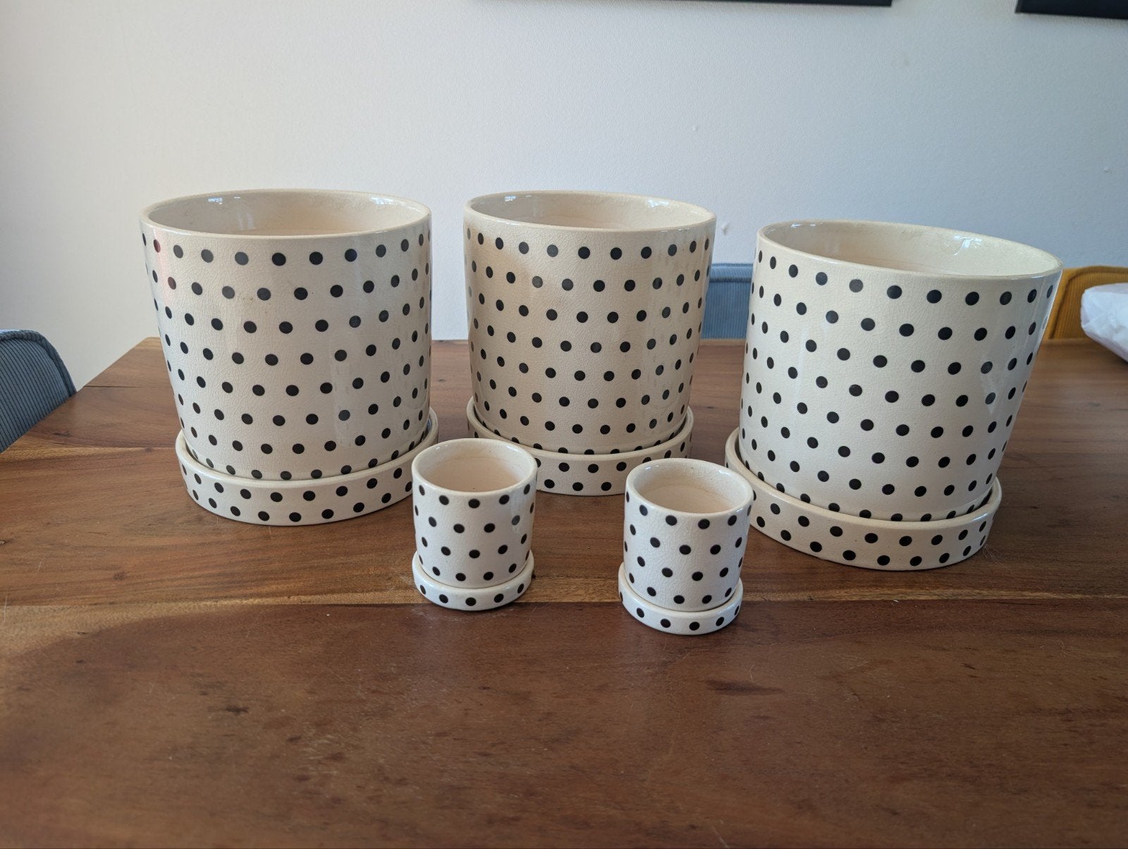 Vrolijke set van 5 HEMA bloempotten met stippen, Tuin en Terras, Ophalen, Steen, Minder dan 30 cm, Minder dan 60 cm
