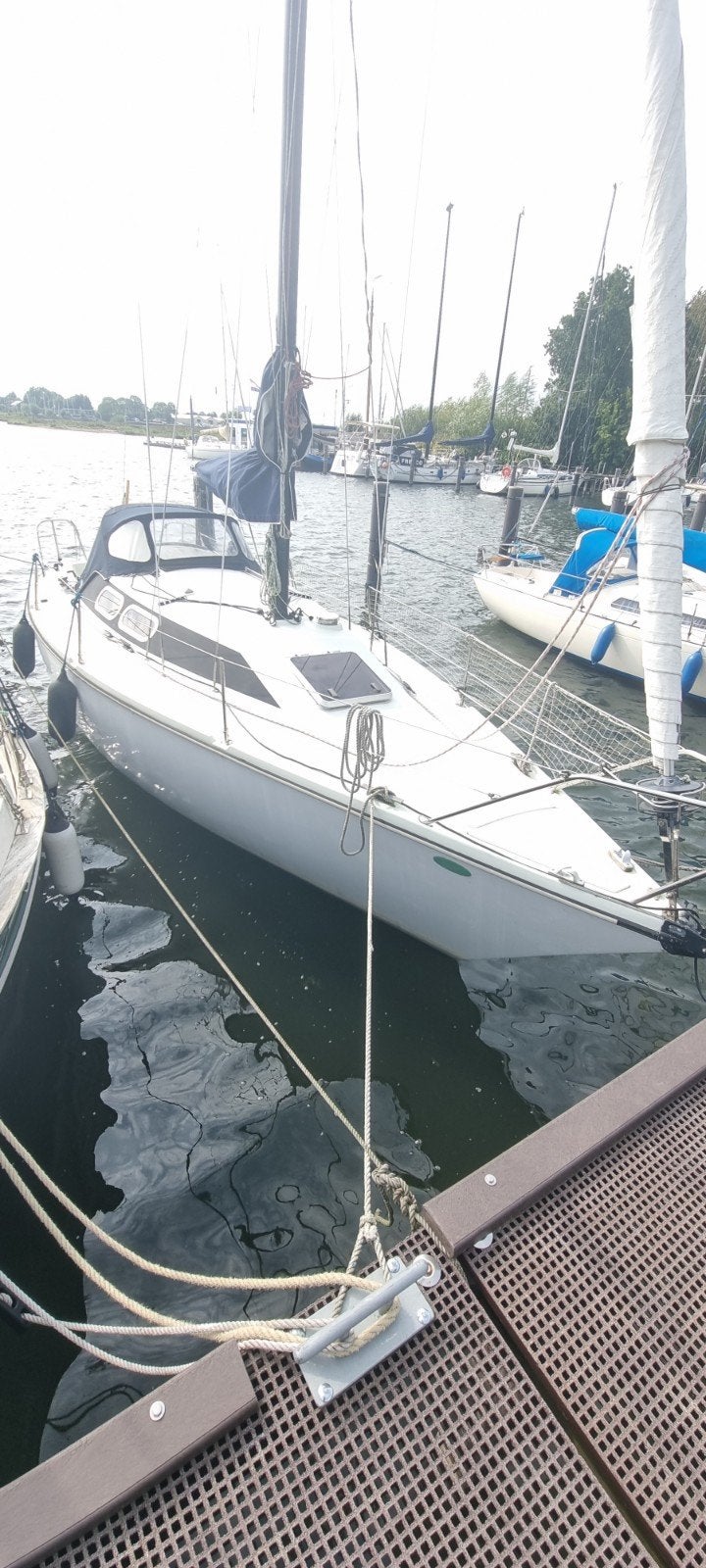 Zeiljacht Comet850 bj. 1984 diepgang 1,30 stahoogte 185, Gebruikt, Binnenboordmotor, Tourjacht of cruiser, Diesel