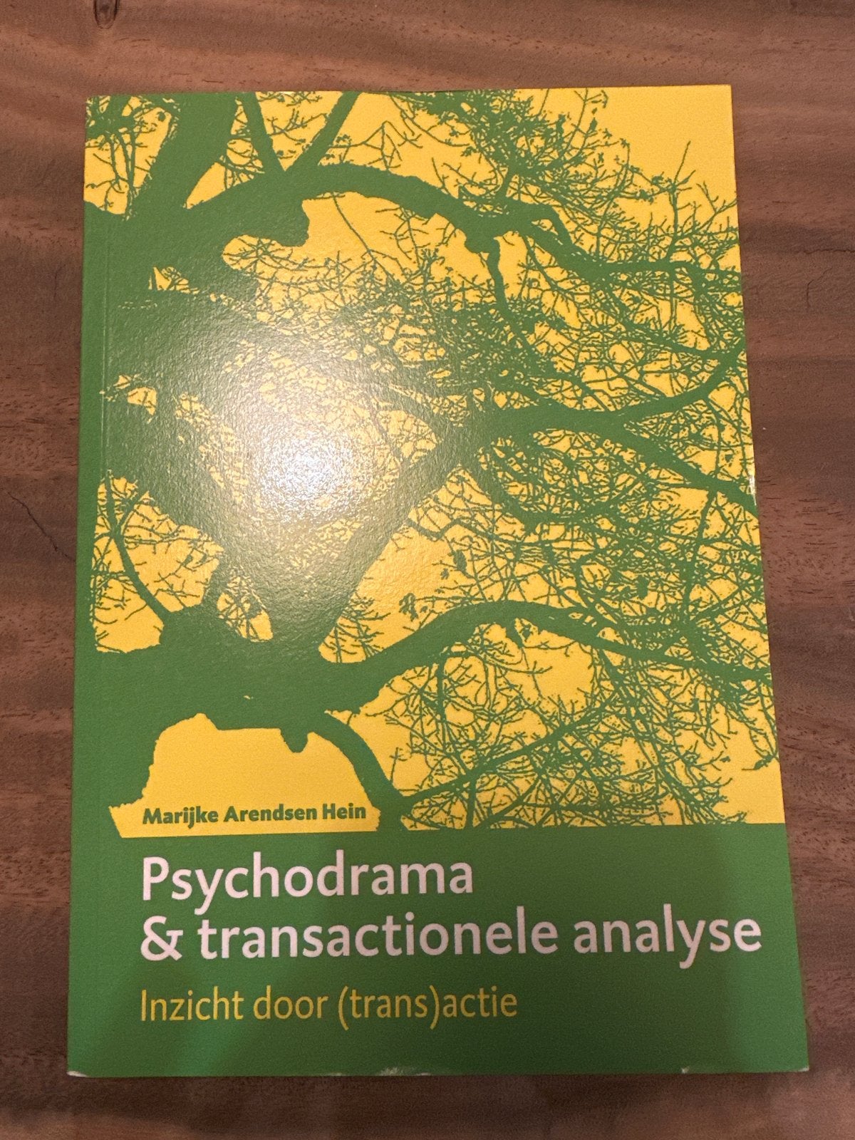 Psychodrama & Transactionele Analyse - Marijke Arendsen Hein, Ophalen of Verzenden, Zo goed als nieuw, Klinische psychologie