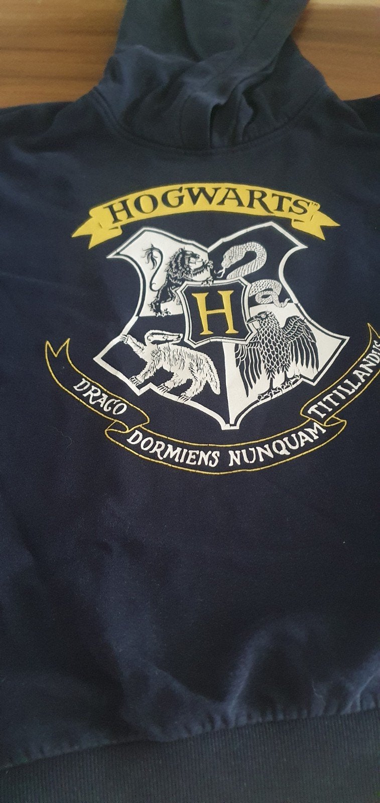 Hoodie, Ophalen, Zo goed als nieuw, Overige maten, Blauw